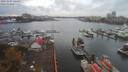./images/victoria/wharf/20191007/wharf20191007_144957.jpg