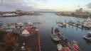 ./images/victoria/wharf/20191008/wharf20191008_080458.jpg