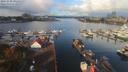 ./images/victoria/wharf/20191008/wharf20191008_095452.jpg