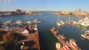 ./images/victoria/wharf/20191009/wharf20191009_111952.jpg