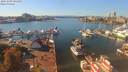 ./images/victoria/wharf/20191009/wharf20191009_141459.jpg