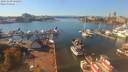 ./images/victoria/wharf/20191009/wharf20191009_142454.jpg