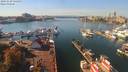 ./images/victoria/wharf/20191010/wharf20191010_134951.jpg