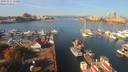 ./images/victoria/wharf/20191011/wharf20191011_112957.jpg
