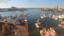 ./images/victoria/wharf/20191011/wharf20191011_141450.jpg