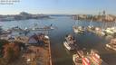 ./images/victoria/wharf/20191011/wharf20191011_142958.jpg