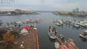./images/victoria/wharf/20191012/wharf20191012_090952.jpg