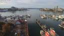 ./images/victoria/wharf/20191012/wharf20191012_131953.jpg