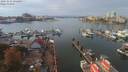 ./images/victoria/wharf/20191012/wharf20191012_134449.jpg