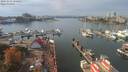 ./images/victoria/wharf/20191012/wharf20191012_134952.jpg