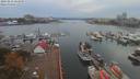 ./images/victoria/wharf/20191012/wharf20191012_164950.jpg