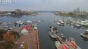 ./images/victoria/wharf/20191012/wharf20191012_174958.jpg