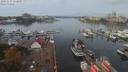 ./images/victoria/wharf/20191013/wharf20191013_112457.jpg