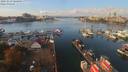 ./images/victoria/wharf/20191013/wharf20191013_124455.jpg