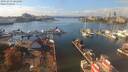 ./images/victoria/wharf/20191013/wharf20191013_141450.jpg