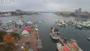 ./images/victoria/wharf/20191014/wharf20191014_121457.jpg