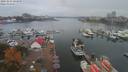 ./images/victoria/wharf/20191014/wharf20191014_124950.jpg