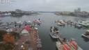 ./images/victoria/wharf/20191014/wharf20191014_145951.jpg
