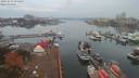 ./images/victoria/wharf/20191015/wharf20191015_074454.jpg