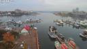 ./images/victoria/wharf/20191015/wharf20191015_081450.jpg