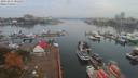 ./images/victoria/wharf/20191015/wharf20191015_081953.jpg