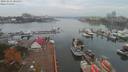 ./images/victoria/wharf/20191015/wharf20191015_085956.jpg