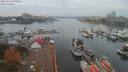 ./images/victoria/wharf/20191015/wharf20191015_090951.jpg