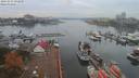 ./images/victoria/wharf/20191015/wharf20191015_092449.jpg