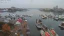 ./images/victoria/wharf/20191015/wharf20191015_122456.jpg