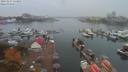 ./images/victoria/wharf/20191015/wharf20191015_123954.jpg
