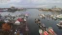 ./images/victoria/wharf/20191016/wharf20191016_105454.jpg