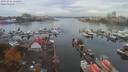 ./images/victoria/wharf/20191016/wharf20191016_111456.jpg