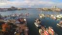 ./images/victoria/wharf/20191016/wharf20191016_130951.jpg