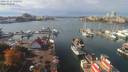 ./images/victoria/wharf/20191016/wharf20191016_132953.jpg