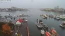 ./images/victoria/wharf/20191017/wharf20191017_082450.jpg