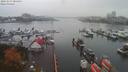 ./images/victoria/wharf/20191017/wharf20191017_084954.jpg