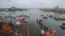 ./images/victoria/wharf/20191017/wharf20191017_090956.jpg
