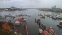 ./images/victoria/wharf/20191017/wharf20191017_091459.jpg