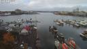 ./images/victoria/wharf/20191017/wharf20191017_120950.jpg