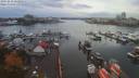 ./images/victoria/wharf/20191018/wharf20191018_151950.jpg
