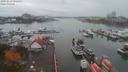 ./images/victoria/wharf/20191019/wharf20191019_091453.jpg