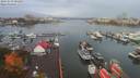./images/victoria/wharf/20191019/wharf20191019_093957.jpg