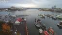 ./images/victoria/wharf/20191019/wharf20191019_095456.jpg