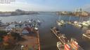 ./images/victoria/wharf/20191022/wharf20191022_142451.jpg