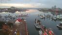 ./images/victoria/wharf/20191024/wharf20191024_074948.jpg