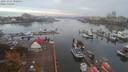 ./images/victoria/wharf/20191024/wharf20191024_080458.jpg