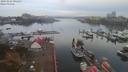 ./images/victoria/wharf/20191024/wharf20191024_091456.jpg