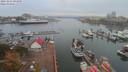 ./images/victoria/wharf/20191024/wharf20191024_093949.jpg