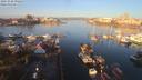 ./images/victoria/wharf/20191028/wharf20191028_092454.jpg