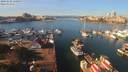 ./images/victoria/wharf/20191028/wharf20191028_120959.jpg